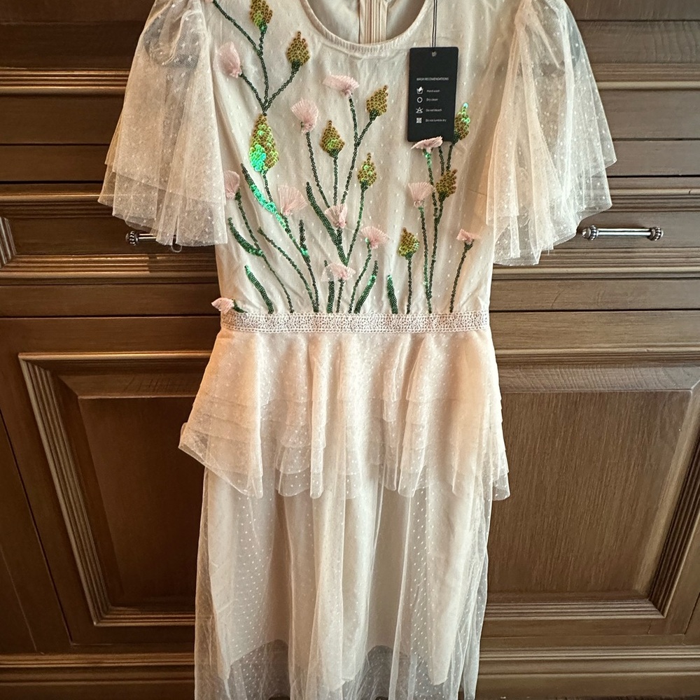 Floral Embroidered Dress